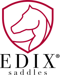 verticaal EDIX logo PNG